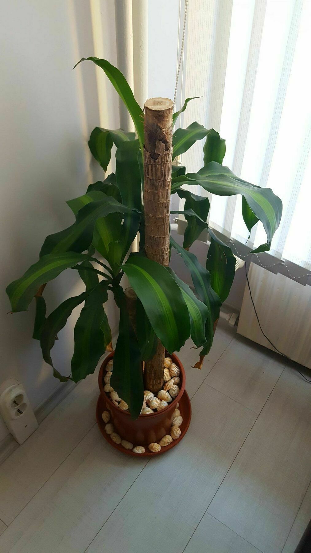 Modern Home Apartment Airport Sofya Dış mekan fotoğraf